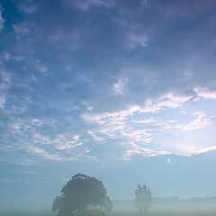 photo "morning 4"