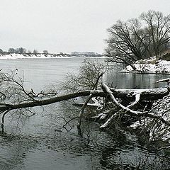 фото "Зима пришла"