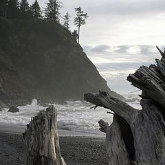 photo "La Push"