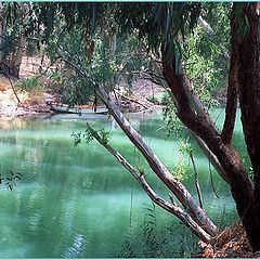 фото "Река Иордан"