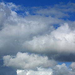 photo "Angels. Living up the sky."