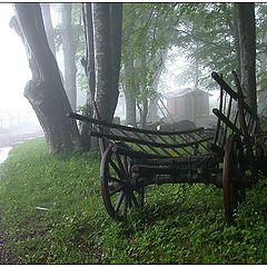 фото "An Old Cart"