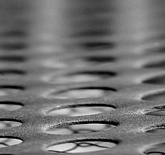 фото "ooo"