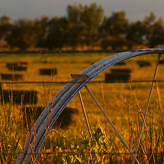 photo "About Agriculture"