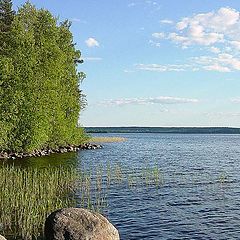 photo "Summer day"