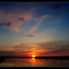 photo "The sky, beardies, and sunset...."