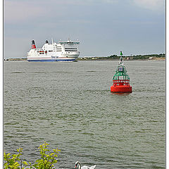 photo "2 swans"