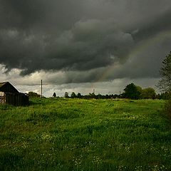 photo "NEW DAY (II)"