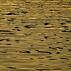 фото "Reflections 3"