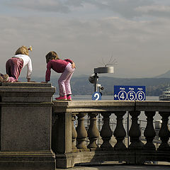 photo "The rapt of the curiosity."