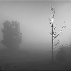 photo "Fog"
