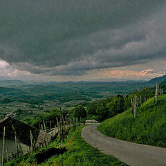photo "On road with a rain"