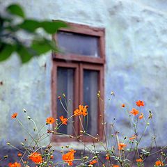 photo "Chisinau - Old City"