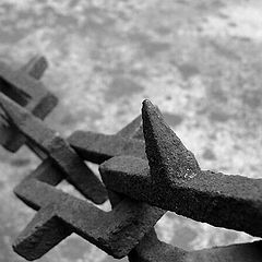 photo "chains I"