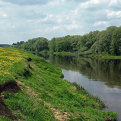 photo "Coast of the Moscow - river"