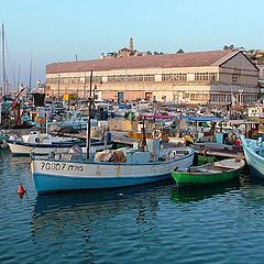 photo "Jaffa Harbour"