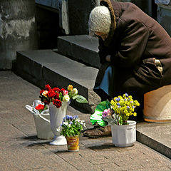 photo "The hope dies last"
