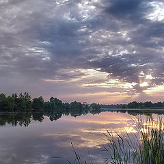 photo "Same pond."