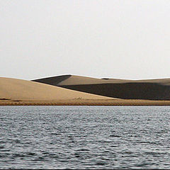 фото "Dunes"