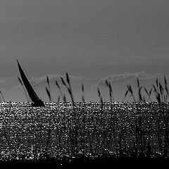 photo "***"