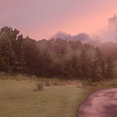 photo "Summer Silence"