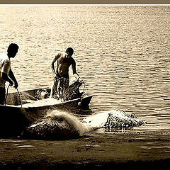 фото "Fishermen"