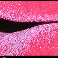 photo ""Vegetative" passion"