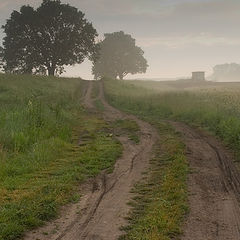 photo "sleepy fields"