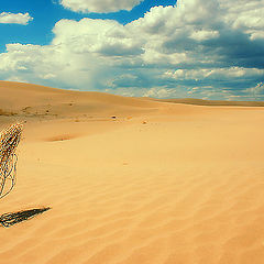 photo "Little Sahara - 2"