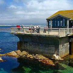 фото "Monterey, California"