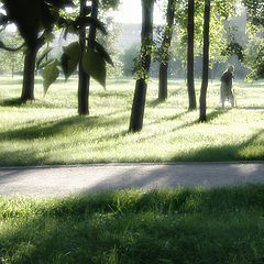 photo "To the Shadow"