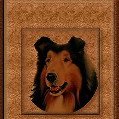 фото "My dog"