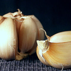 photo "Garlic"