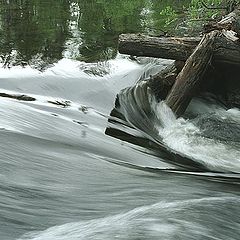 фото "кривое зеркало (2)"