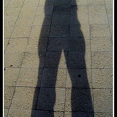 photo "Shadowplay"