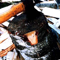 photo "Village still-life_3"