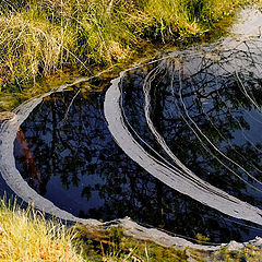 фото "Remains of rainbow"