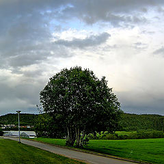 photo "Summer at Dragvoll"