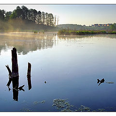 photo "Morning on the river"