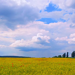 photo "It`s raining somewhere there"