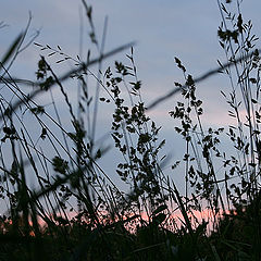 photo "walk along the channel"