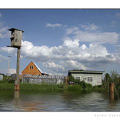 photo "The flood"