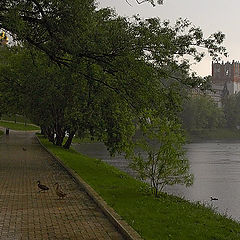 photo "Walks under a rain…"