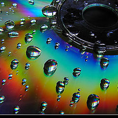 photo "Wet CD"