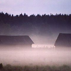 photo "morning in village"