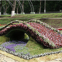 photo "There the flower river, and above it the flower br"