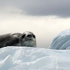 photo "All from above is visible to me."