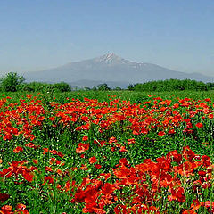 photo "Farewell Kosovo!"