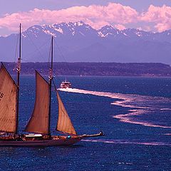 photo "Out Sailing"