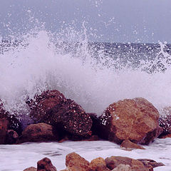 photo "Splashes"